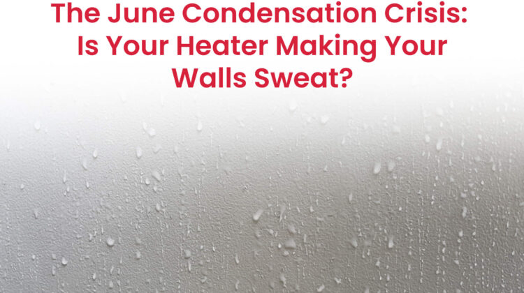 Roze Air: Condensation on walls illustrating June heating challenges and zoned comfort solutions.